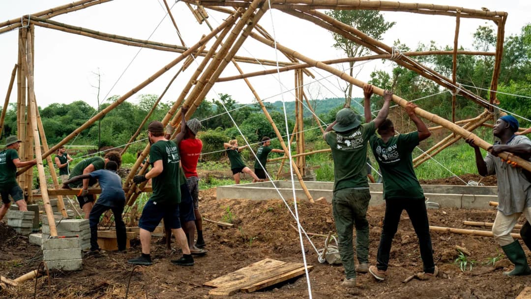 GROW Colourful Ghana e.V.-actionPhoto (2)