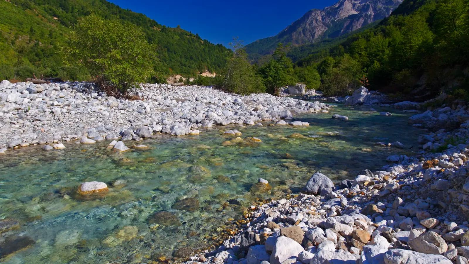 EuroNatur – Stiftung Europäisches Naturerbe