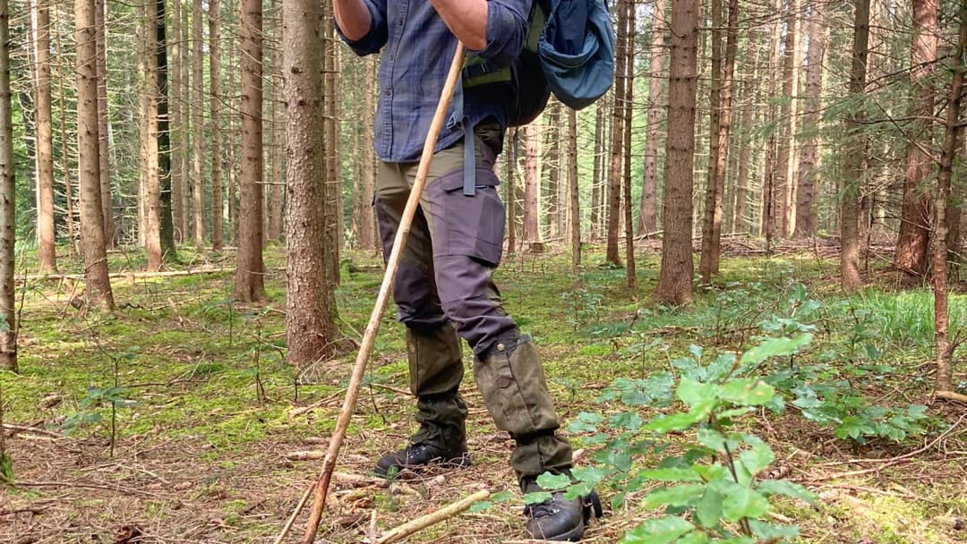 Transition Woods-actionPhoto (2)