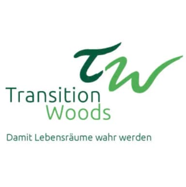 Transition Woods