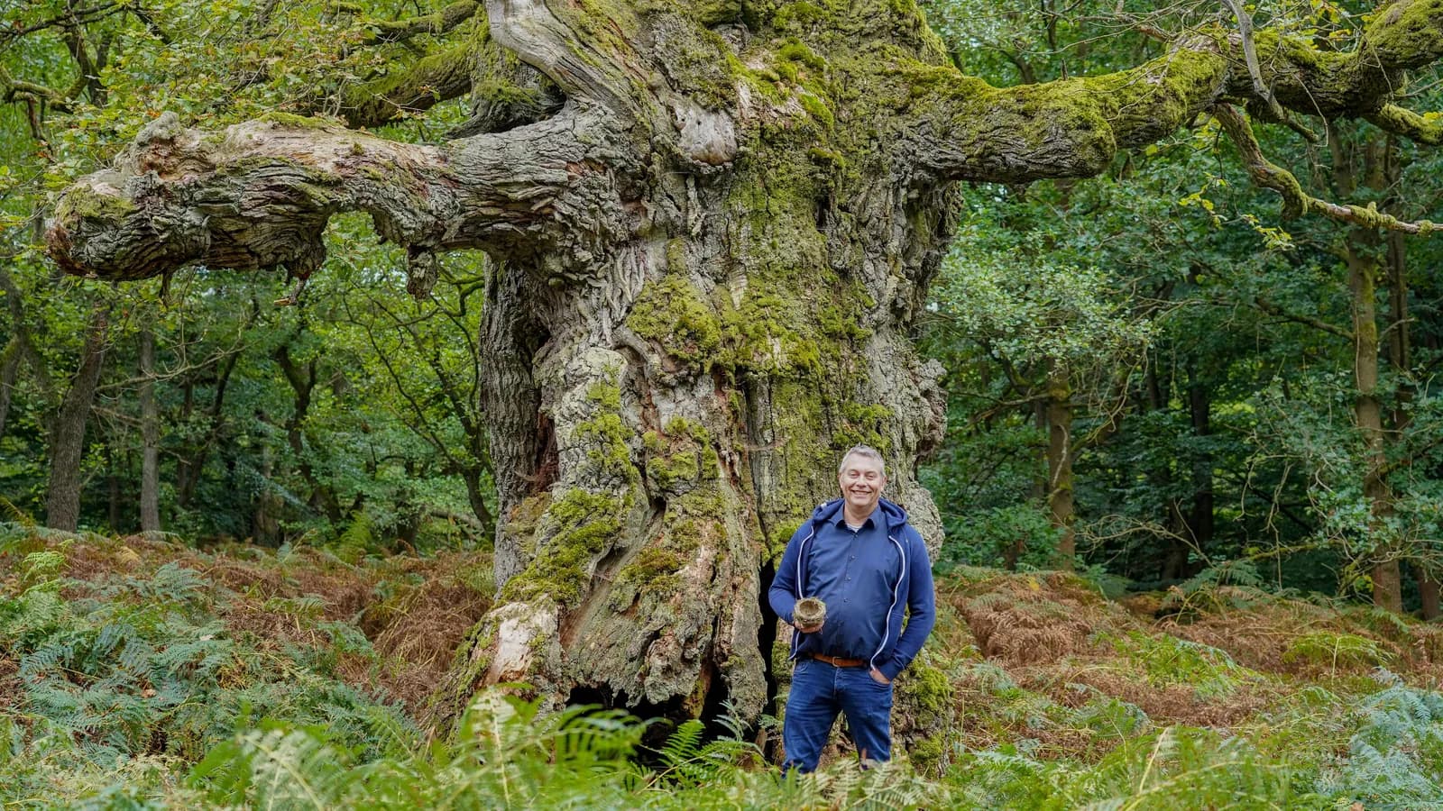 PLANT-MY-TREE. Die Stiftung.