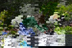 Akquise-Flyer gestalten für Schul-Spendenlauf