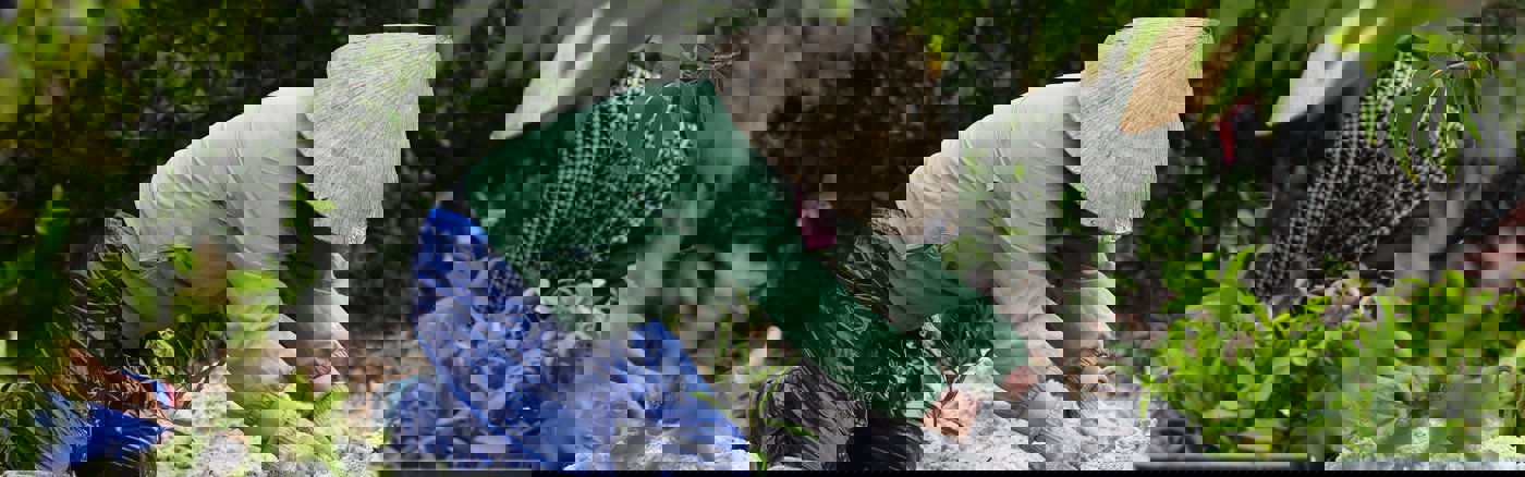 Akquise-Flyer gestalten für Schul-Spendenlauf