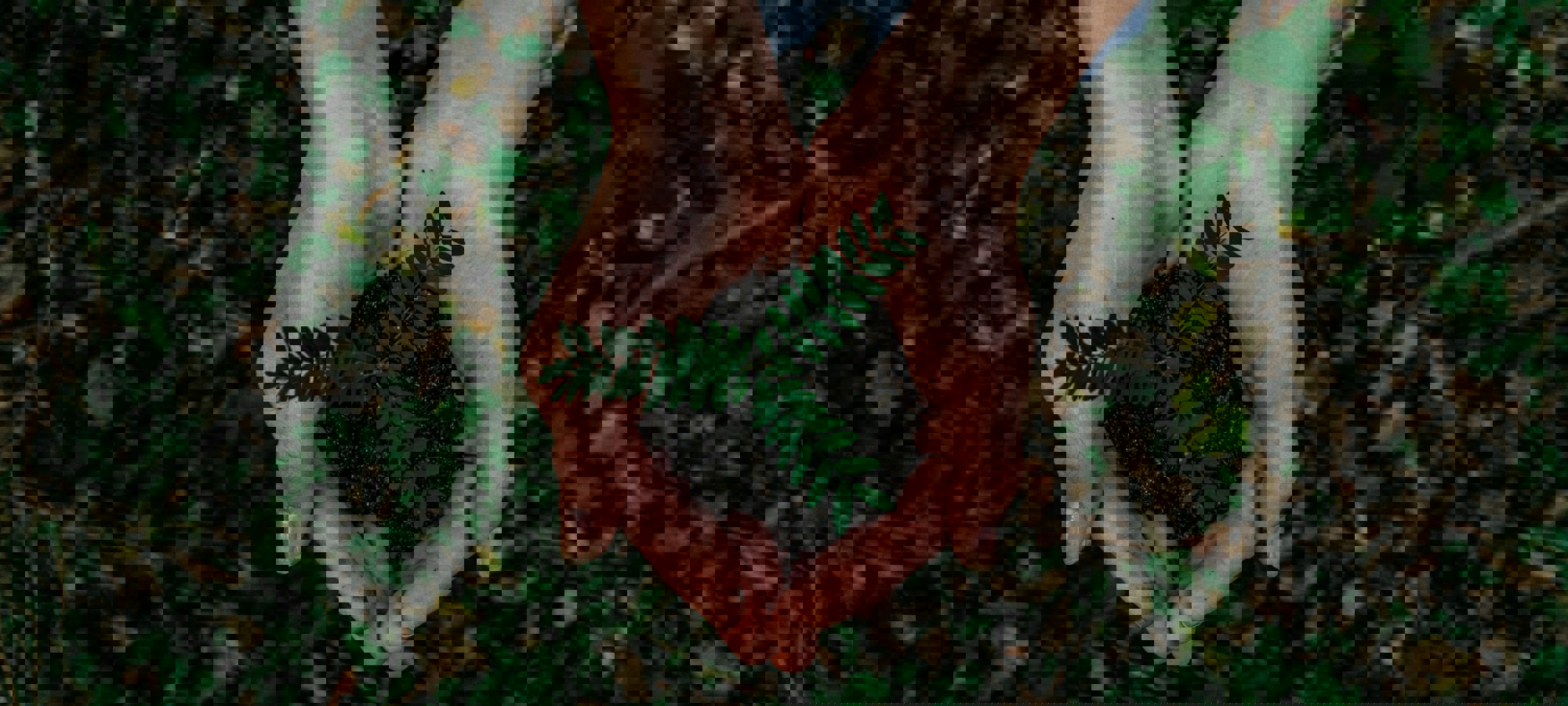 b3b55451-21ed-4801-808b-84eb0fb3cfba