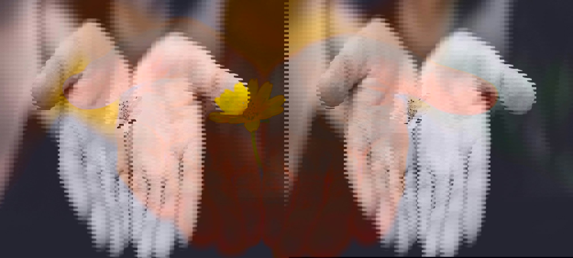 9f6c9949-285f-42ea-b662-f190984fea2c