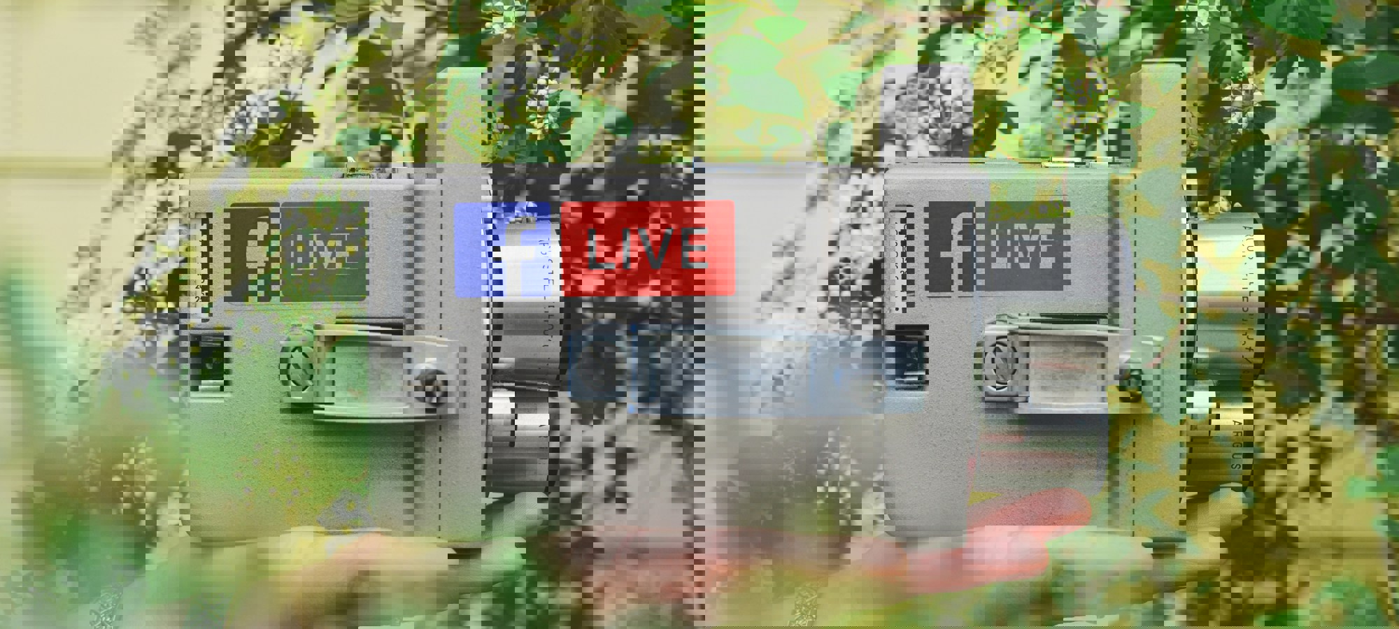 4bc35f9a-d607-426f-ad29-fefcd3458932