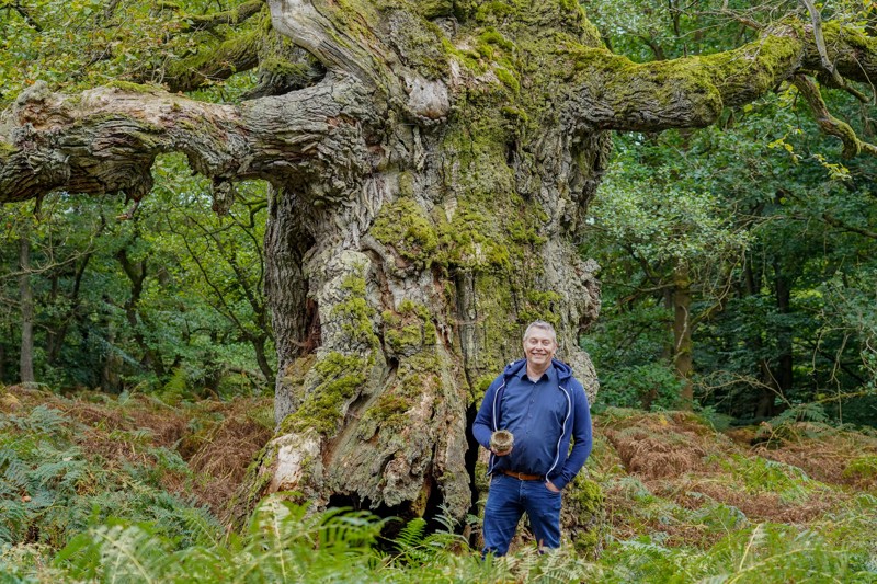 PLANT-MY-TREE. Die Stiftung.