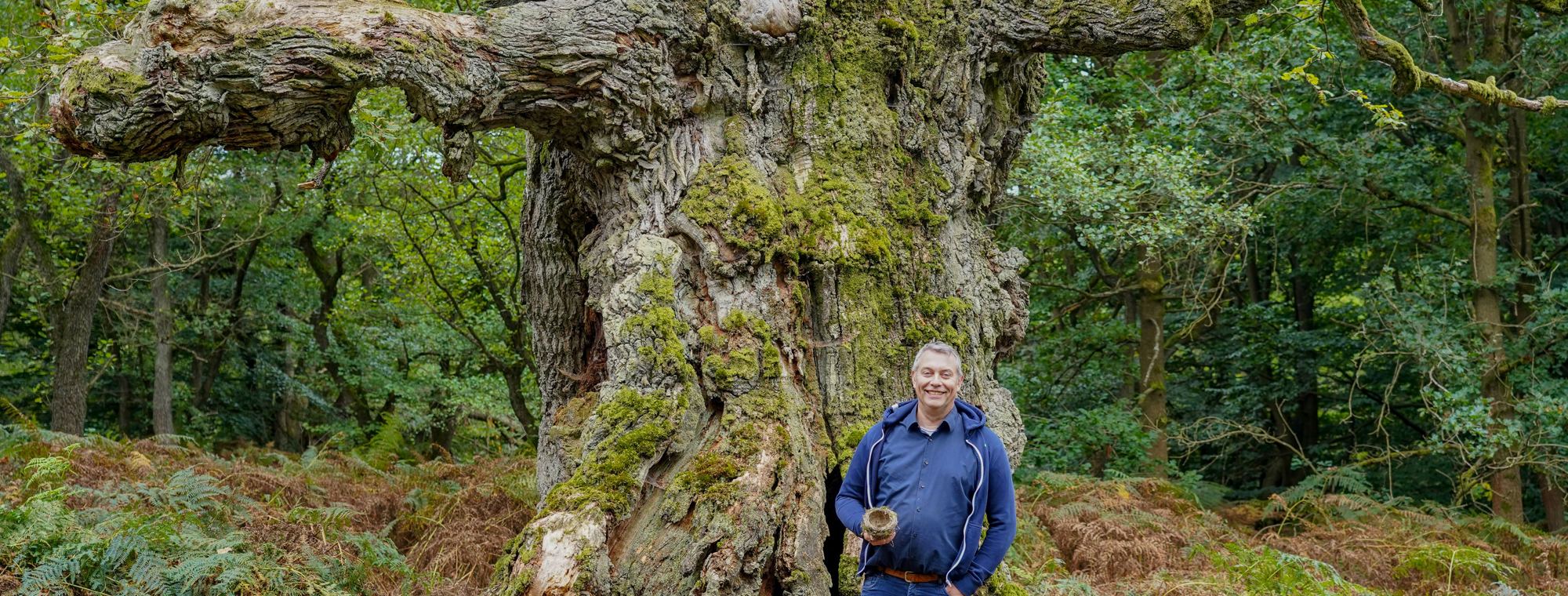 PLANT-MY-TREE. Die Stiftung.-photo