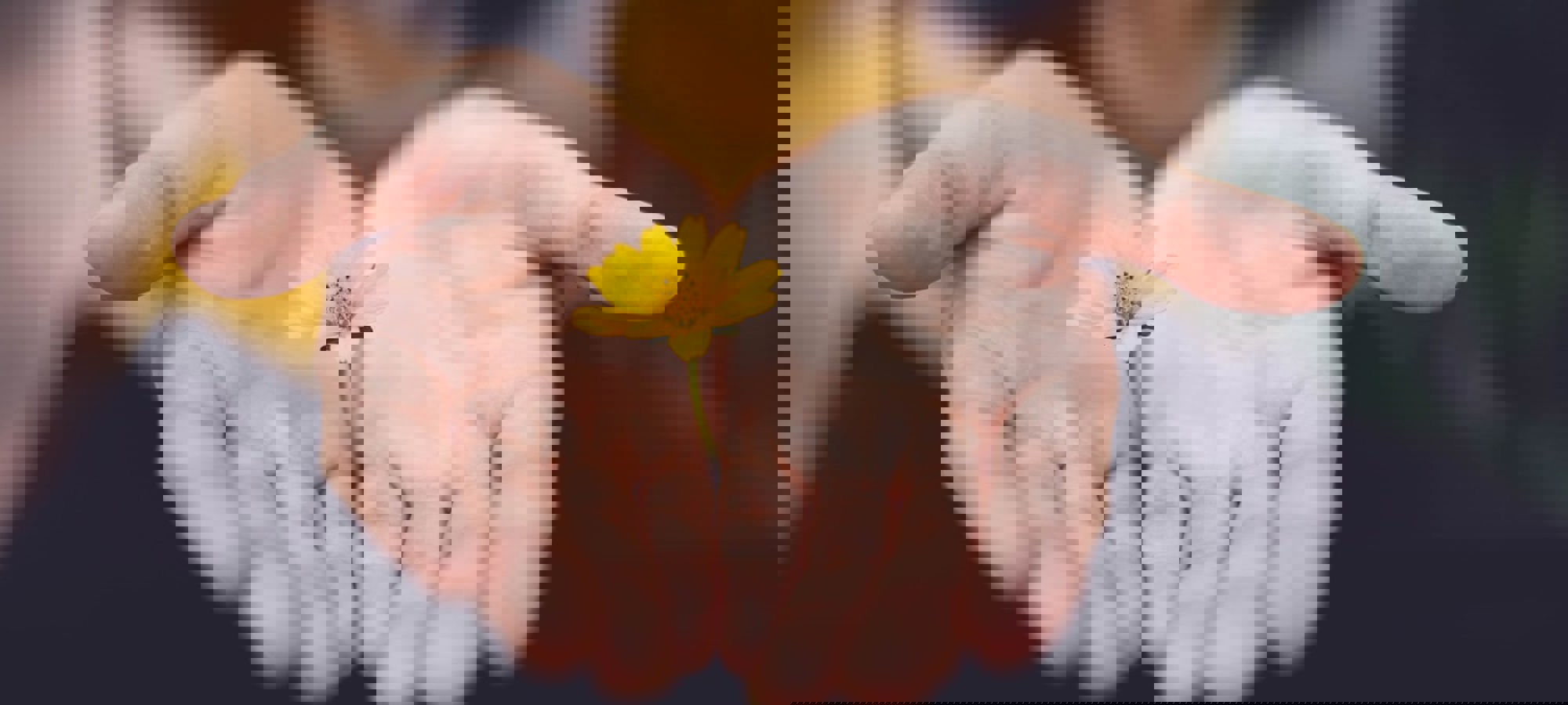 Header 3
