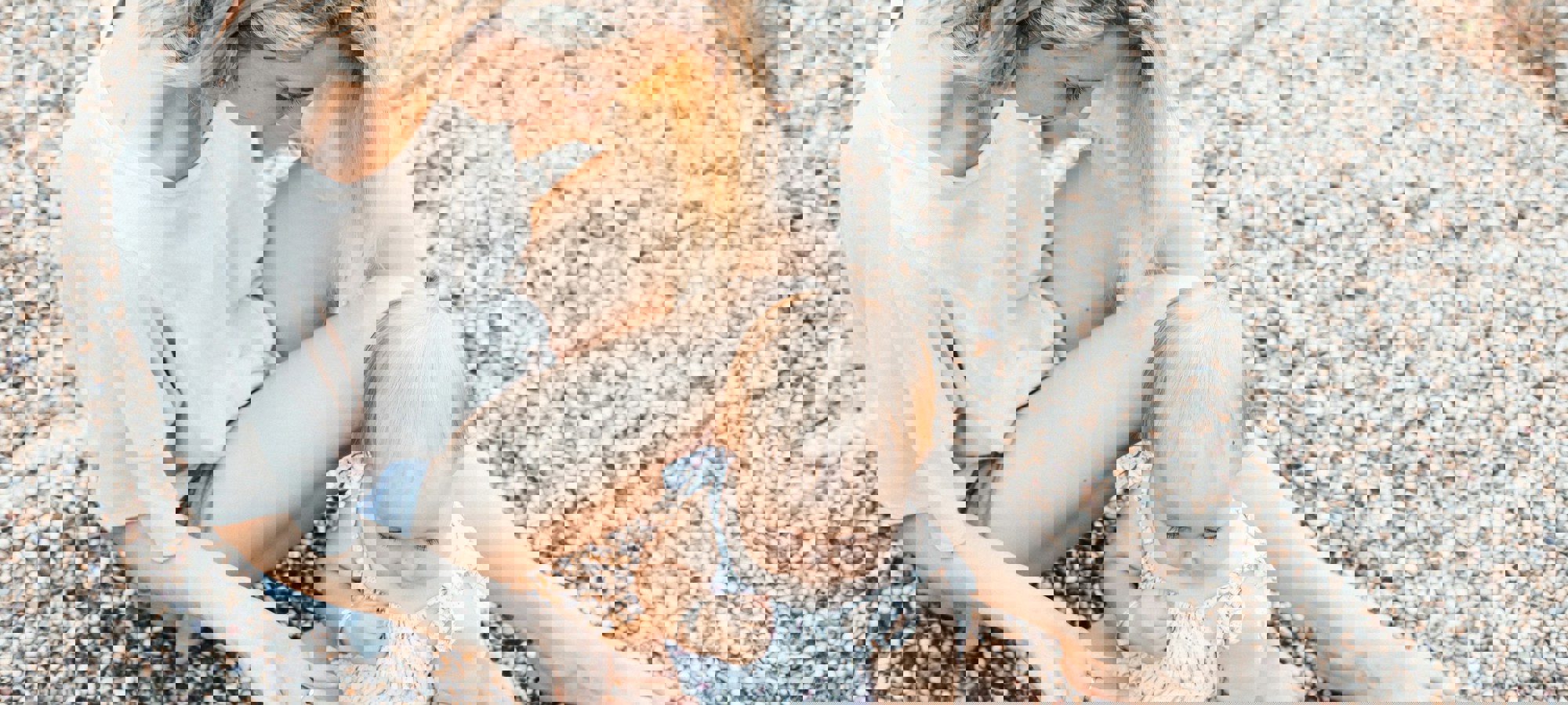 1d4e7141-f7cf-4776-b298-0167641a9005
