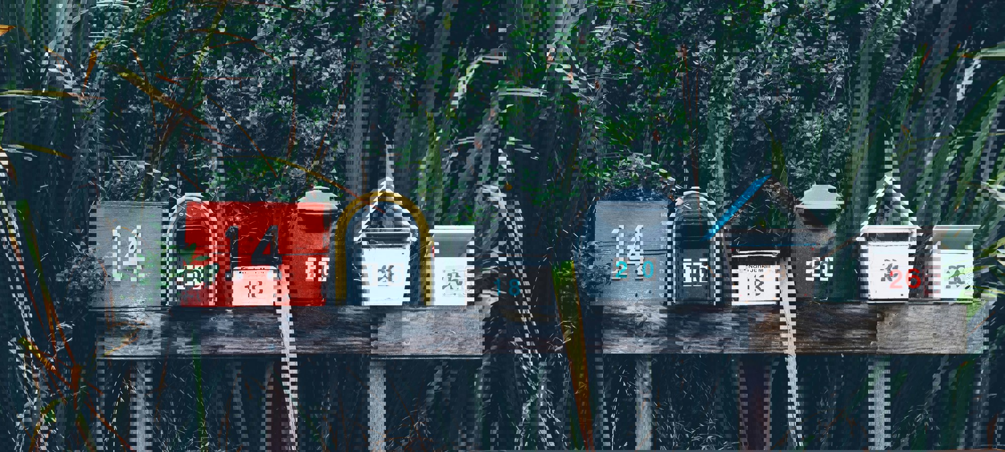 d53271f3-35bb-40ac-b2d5-5459447df17e