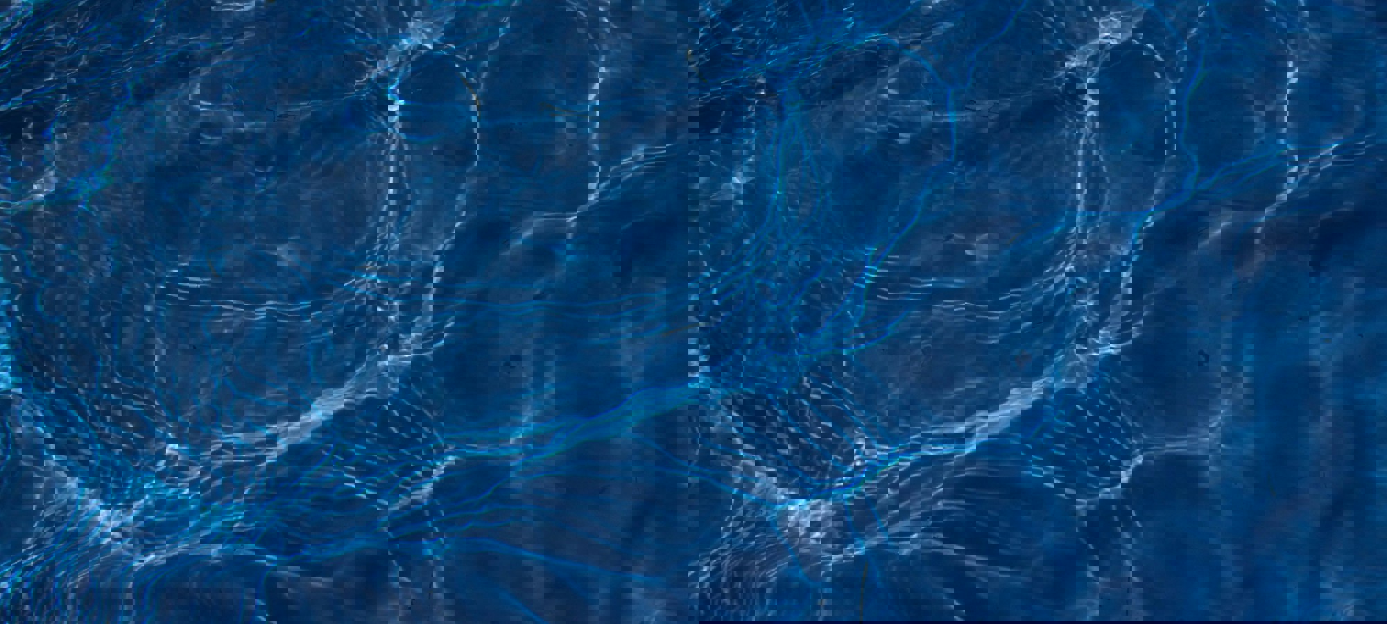 552bf674-f0b9-4e2d-b16e-12ac9f0279d4