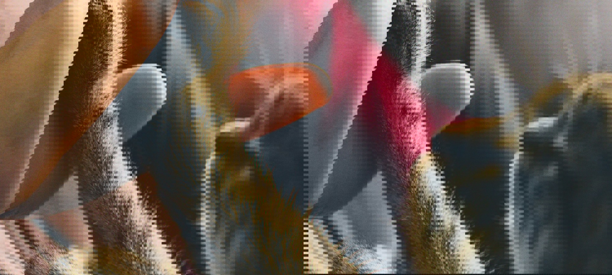 a78d4970-61da-44dd-aa98-3cc8e0094043 (3)