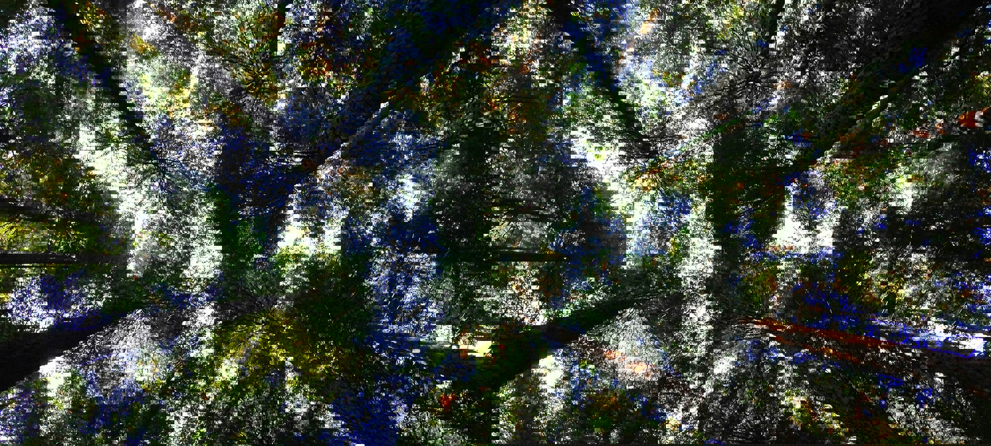 0182dbc0-92fb-4ee1-908b-a7053a9f5a67