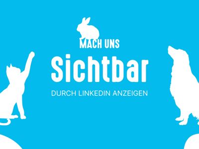 LinkedIn Werbeanzeigen Konzeption & Umsetzung