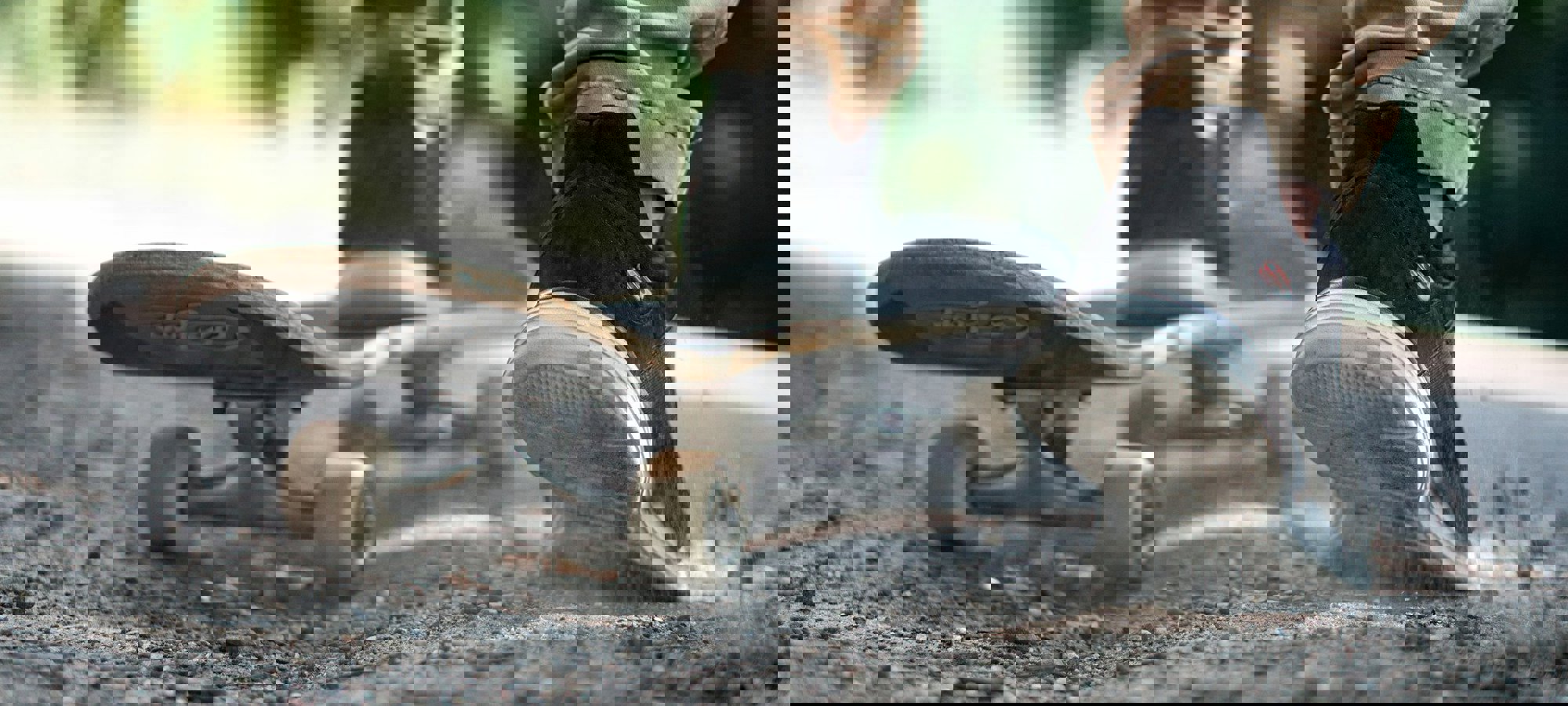 skateboard-5326930_1920.jpg