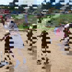 Cricket