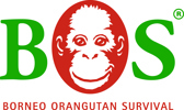 BOS Deutschland e.V. — Borneo Orangutan Survival Deutschland