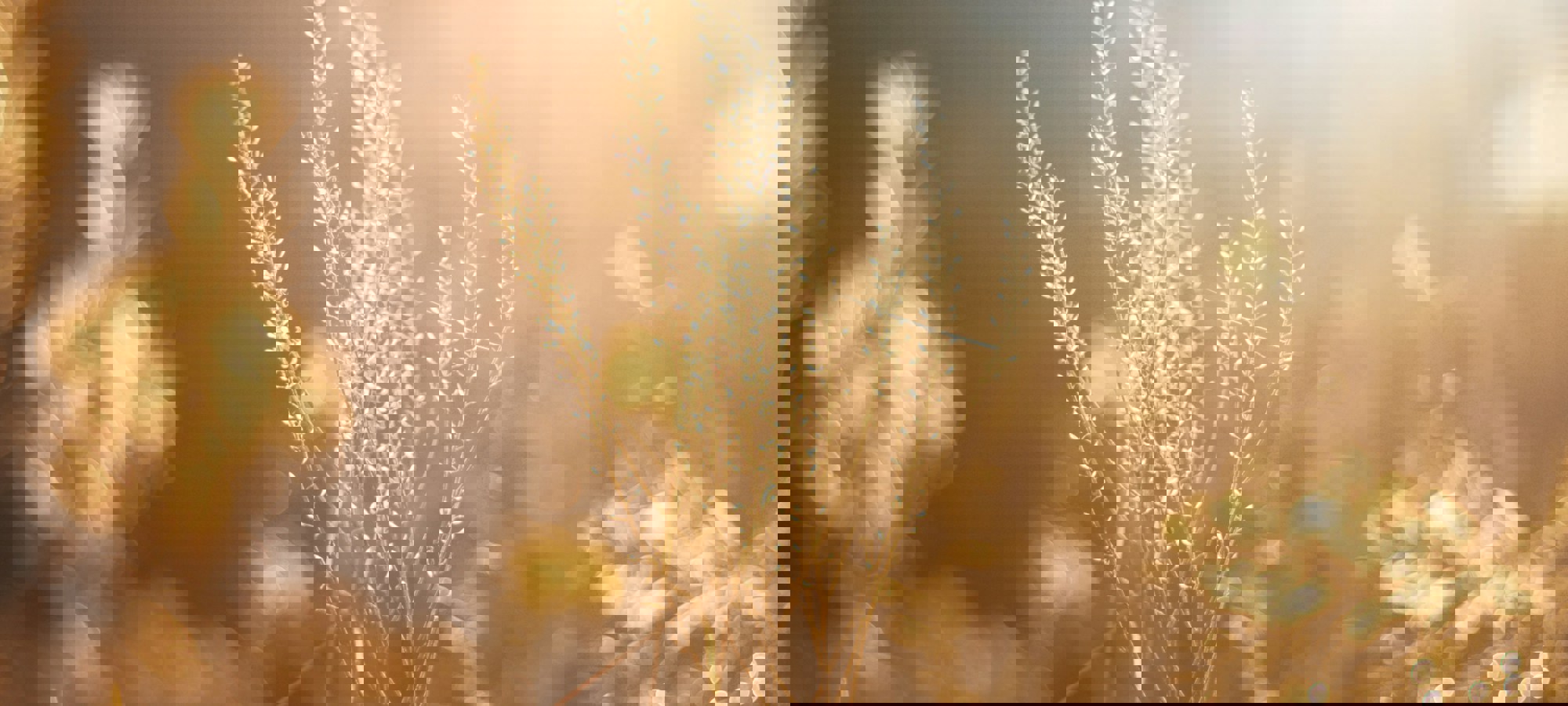 7a3eea48-17aa-4591-999a-f217e2b43381