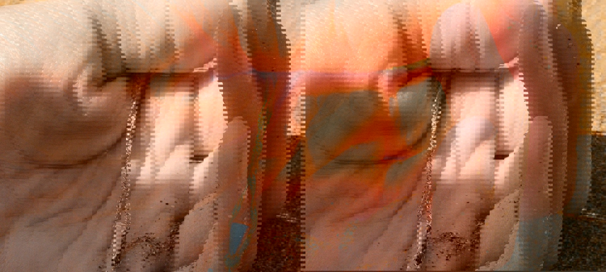 7d2a4c4d-d516-4454-a9a7-1bf3ebbcc270