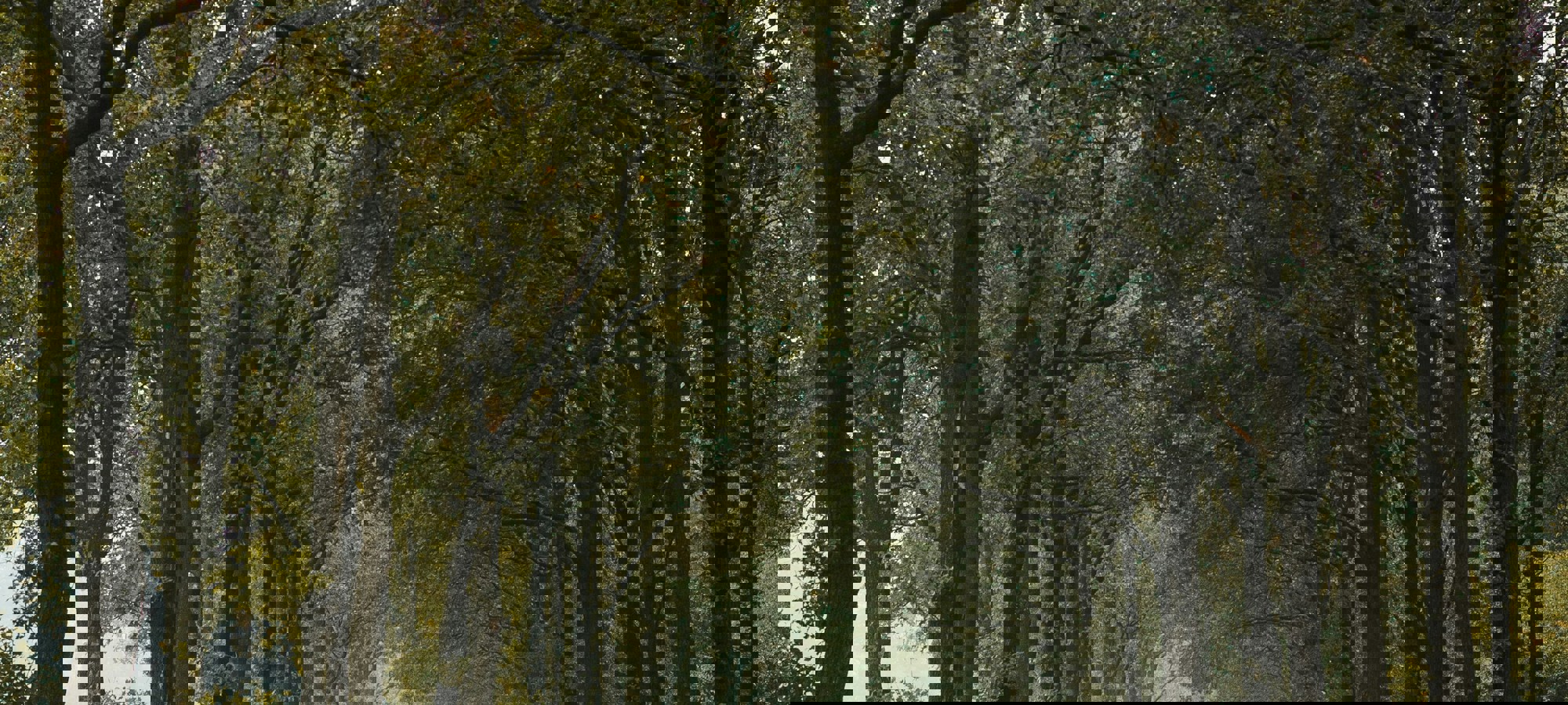 1a795761-de06-45bb-a241-c744e7a07e93