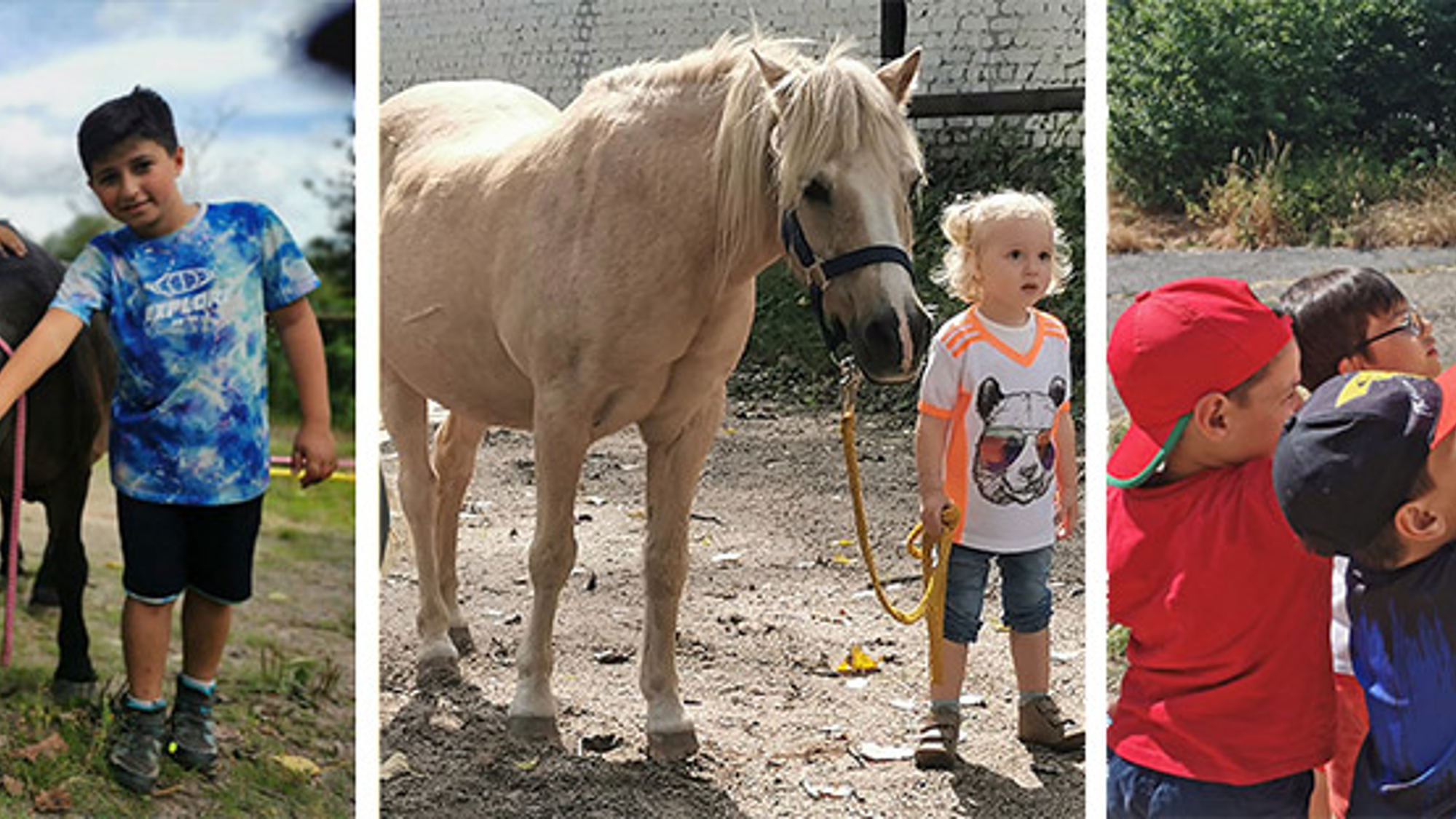 Seniorpferde aktiv mit Kindern e.V.