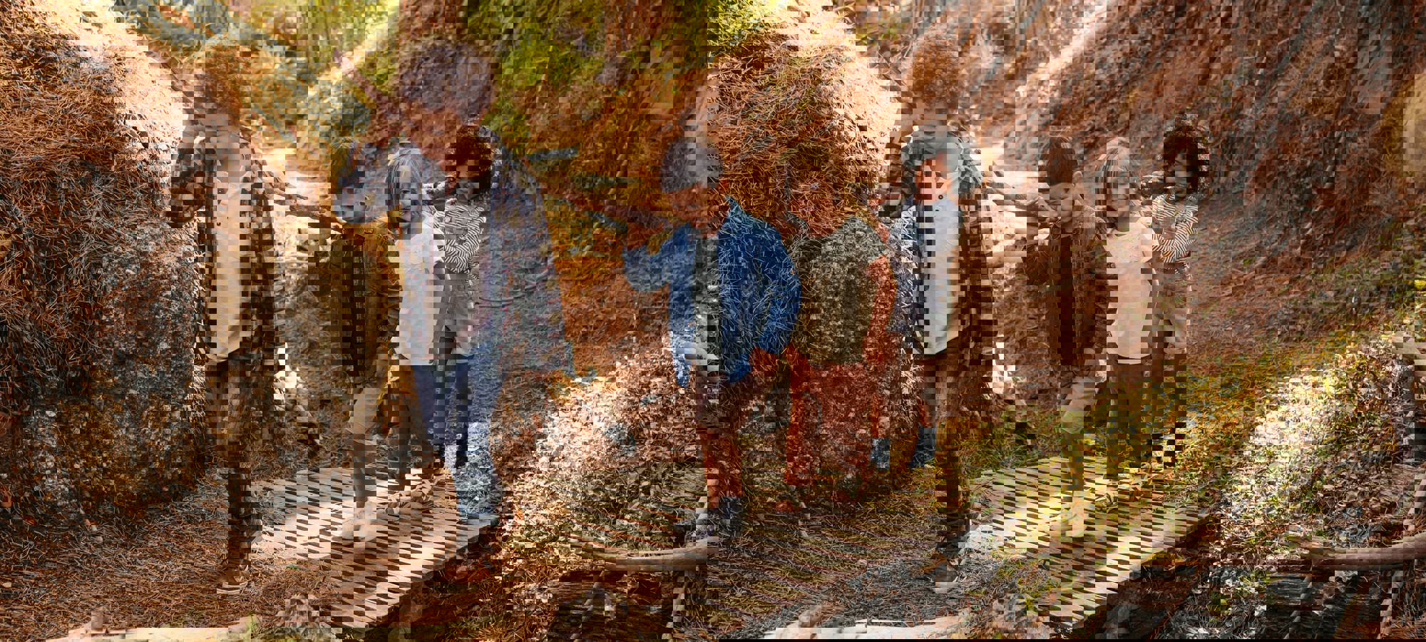 929fb35a-1449-47f4-8f4f-ea3d7054a0bb (1)