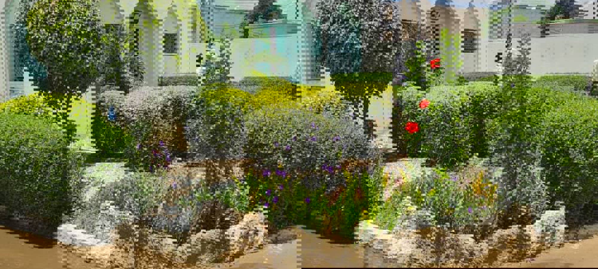 a95ea006-f461-4189-a341-70e54912a2d2
